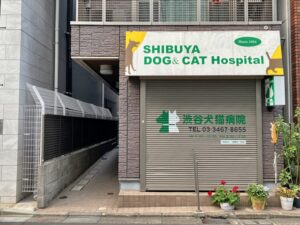The Compassionate Vet