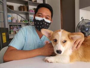 Veterinary Heroes Real-Life Animal Rescues